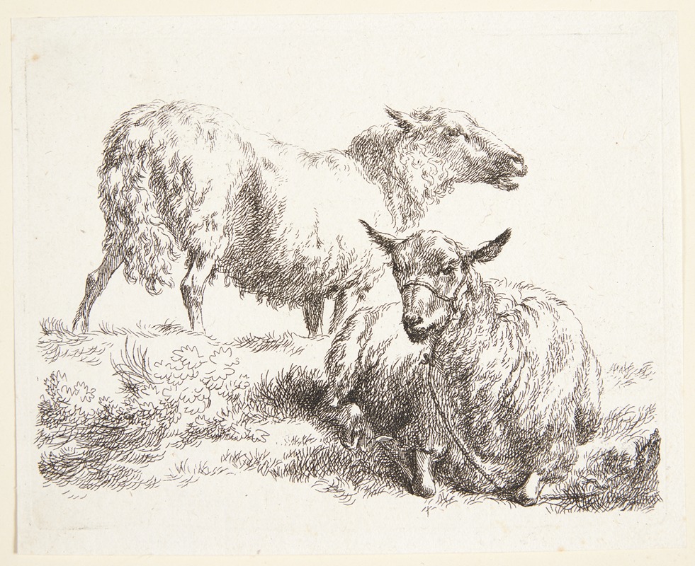 Et stående og et liggende får — Nicolaes Pietersz. Berchem