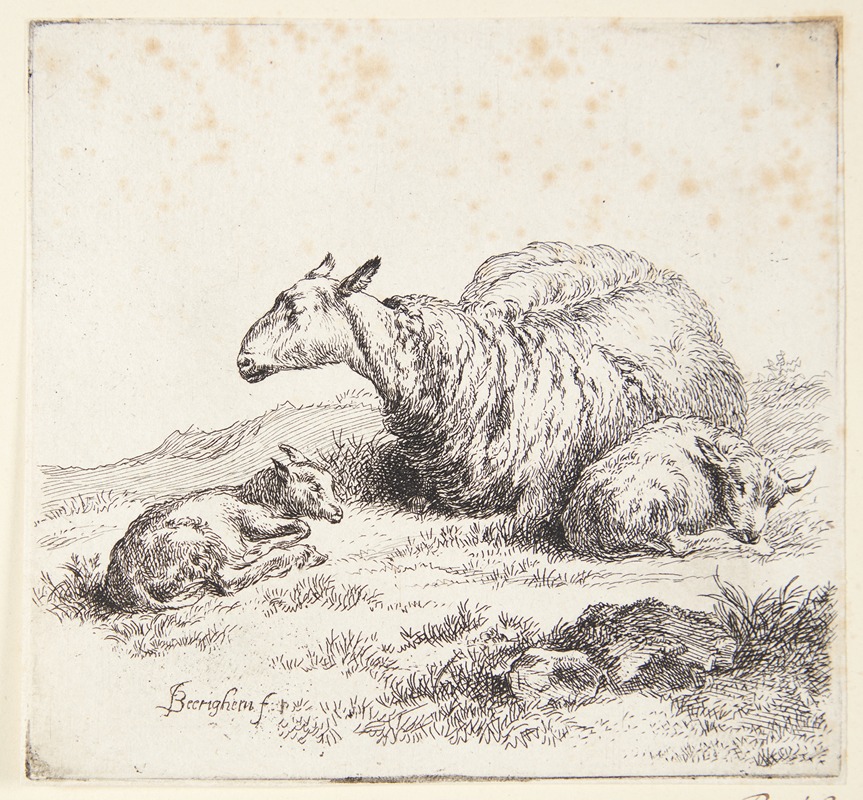 Liggende får med to lam — Nicolaes Pietersz. Berchem