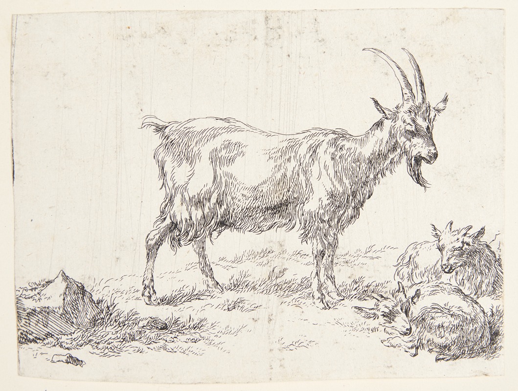 Stående ged og to gedekid — Nicolaes Pietersz. Berchem