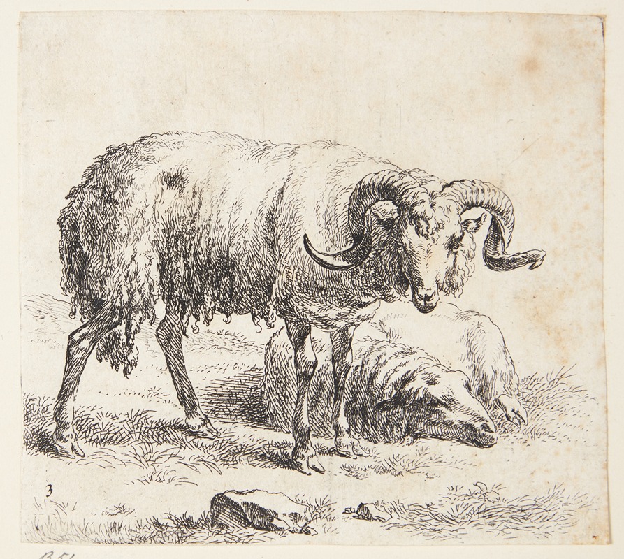 Stående vædder og et liggende får 3 — Nicolaes Pietersz. Berchem