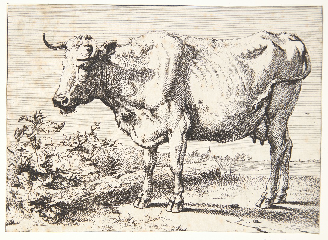 Ko med krøllede horn by Паулус Поттер, 1650 — digital art print download