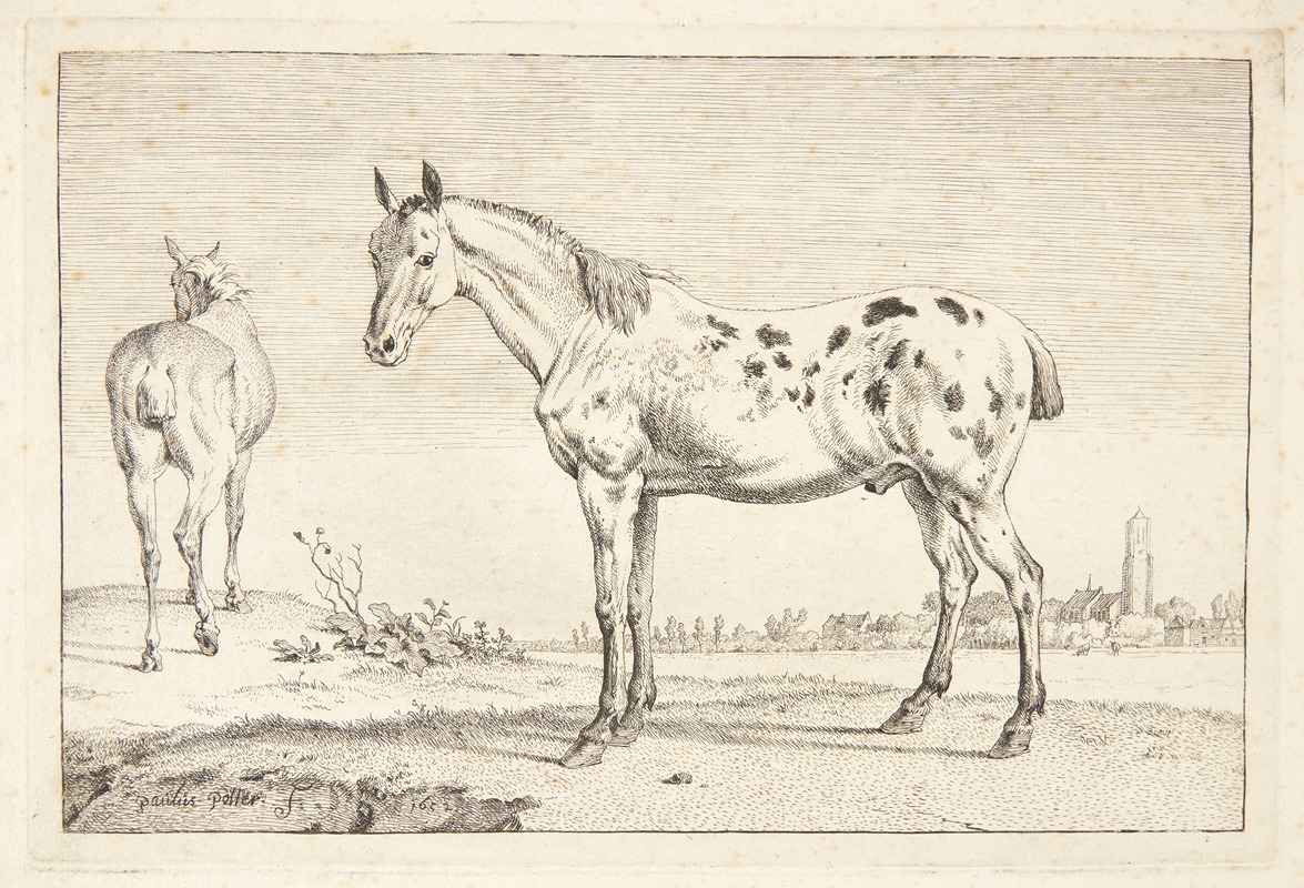 Kupperet hest by Паулус Поттер, 1652 — digital art print download