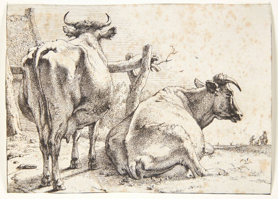 To køer, set bagfra by Паулус Поттер, 1650 — digital art print download