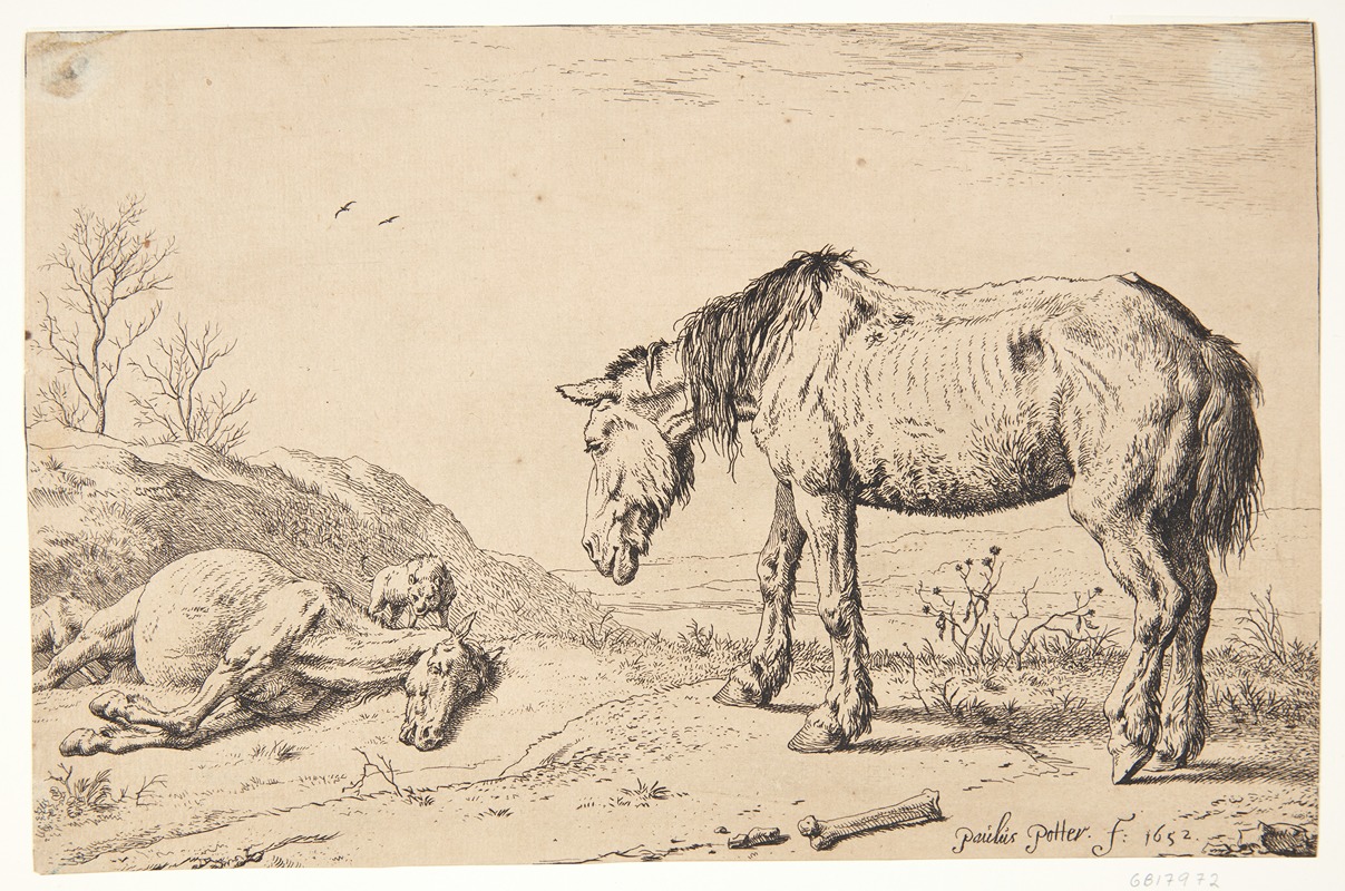 To øg, det ene døende by Паулус Поттер, 1652 — digital art print download