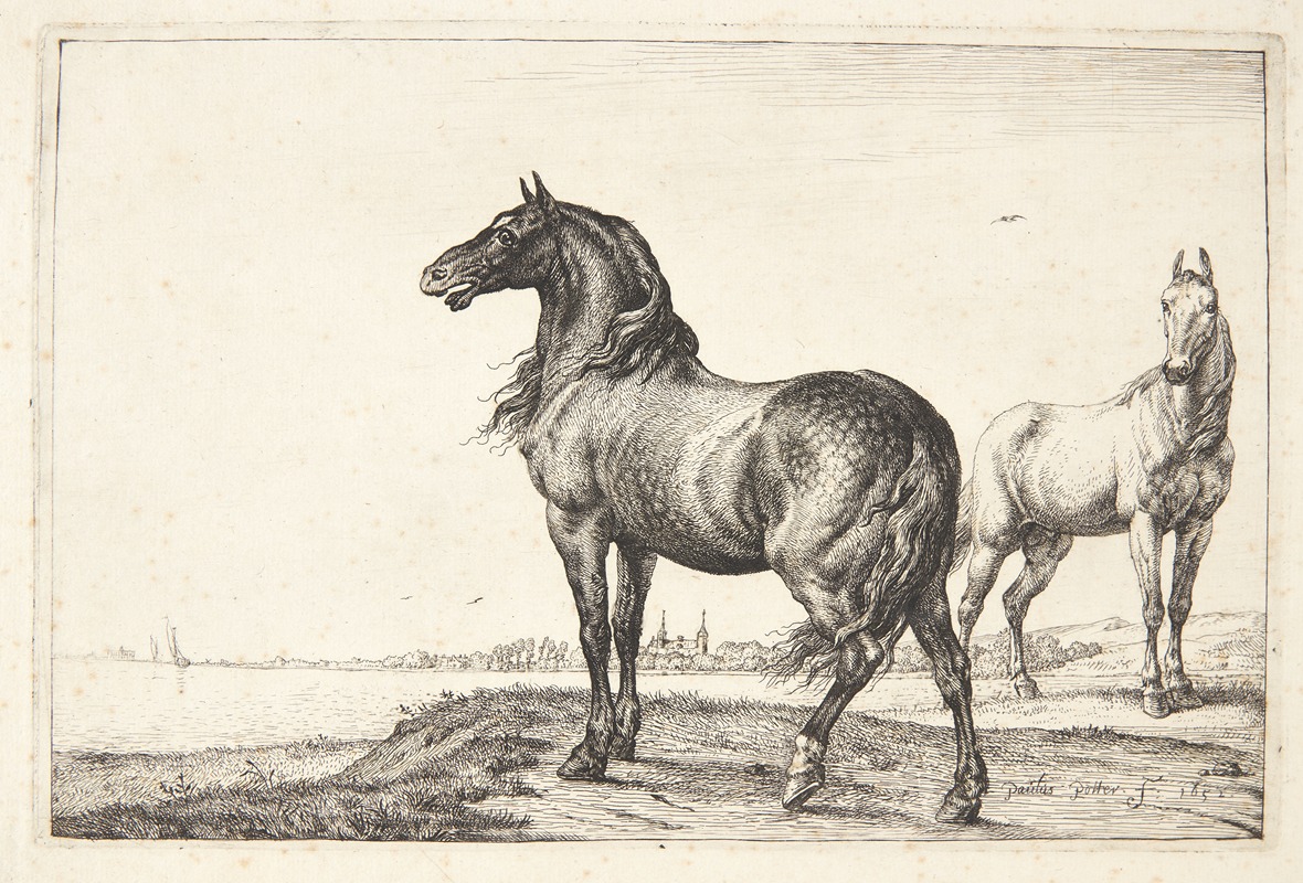 Vrinskende hest by Паулус Поттер, 1652 — digital art print download