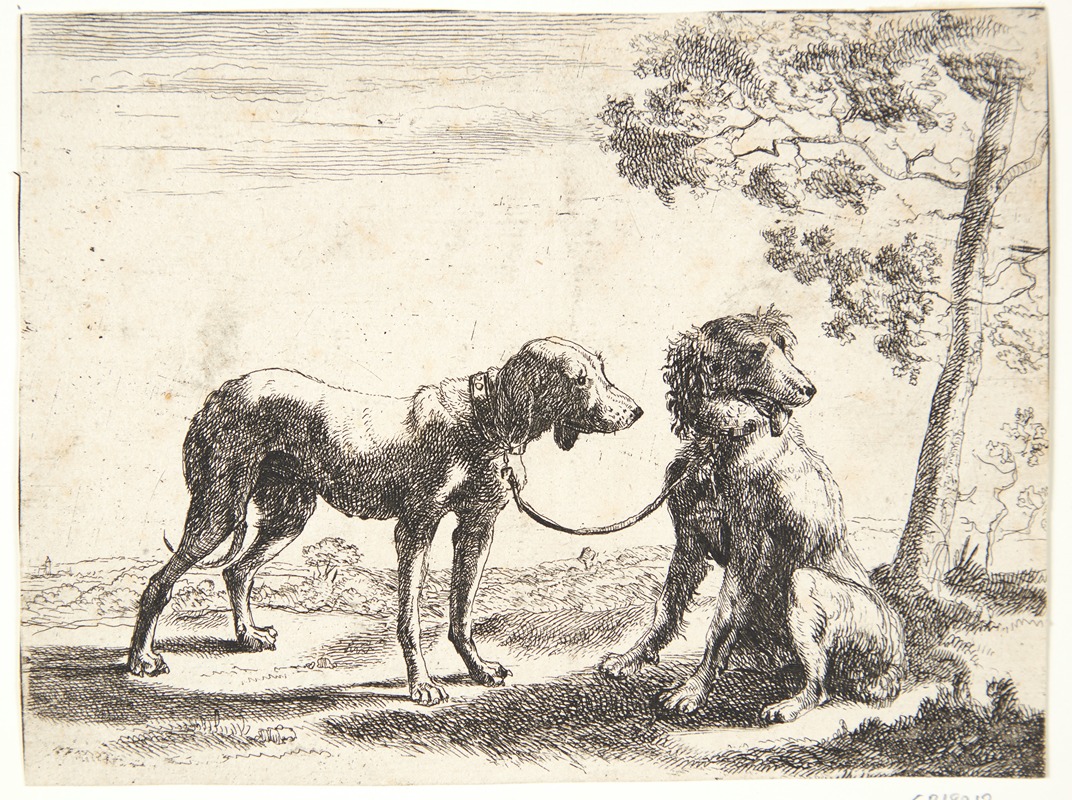 To hunde bundet sammen by Paulus van Hillegaert II, 1654 — digital art print download