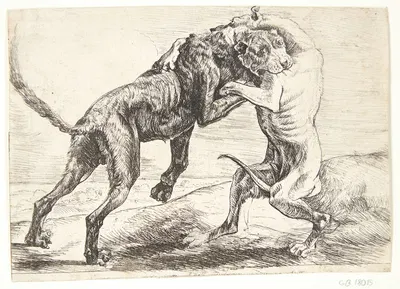 To hunde der kæmper by Paulus van Hillegaert II, 1654 — digital art print download