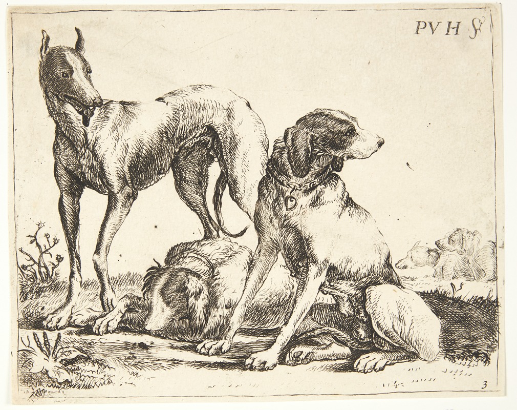 Tre hunde by Paulus van Hillegaert II — digital art print download