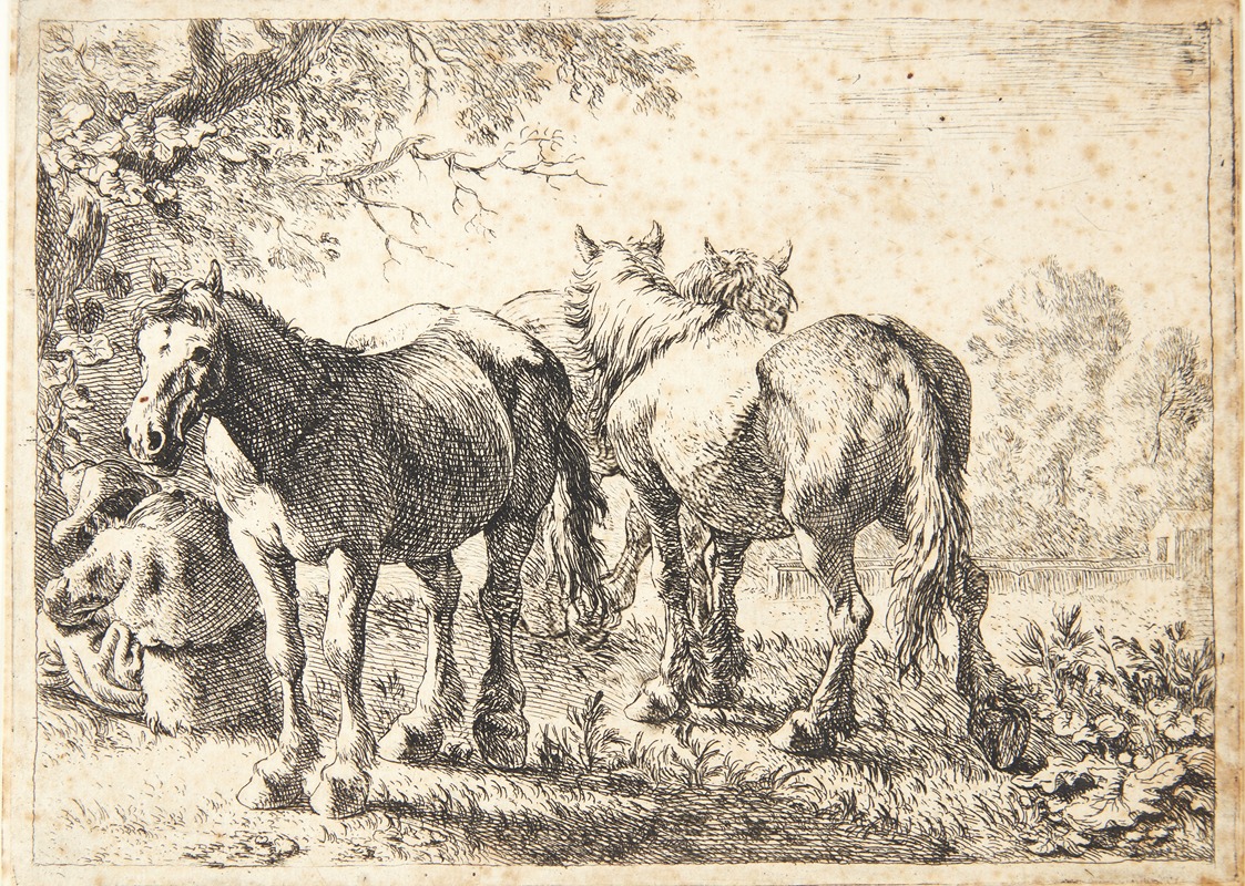 Tre heste, tv en siddende bonde — Pieter van Laer