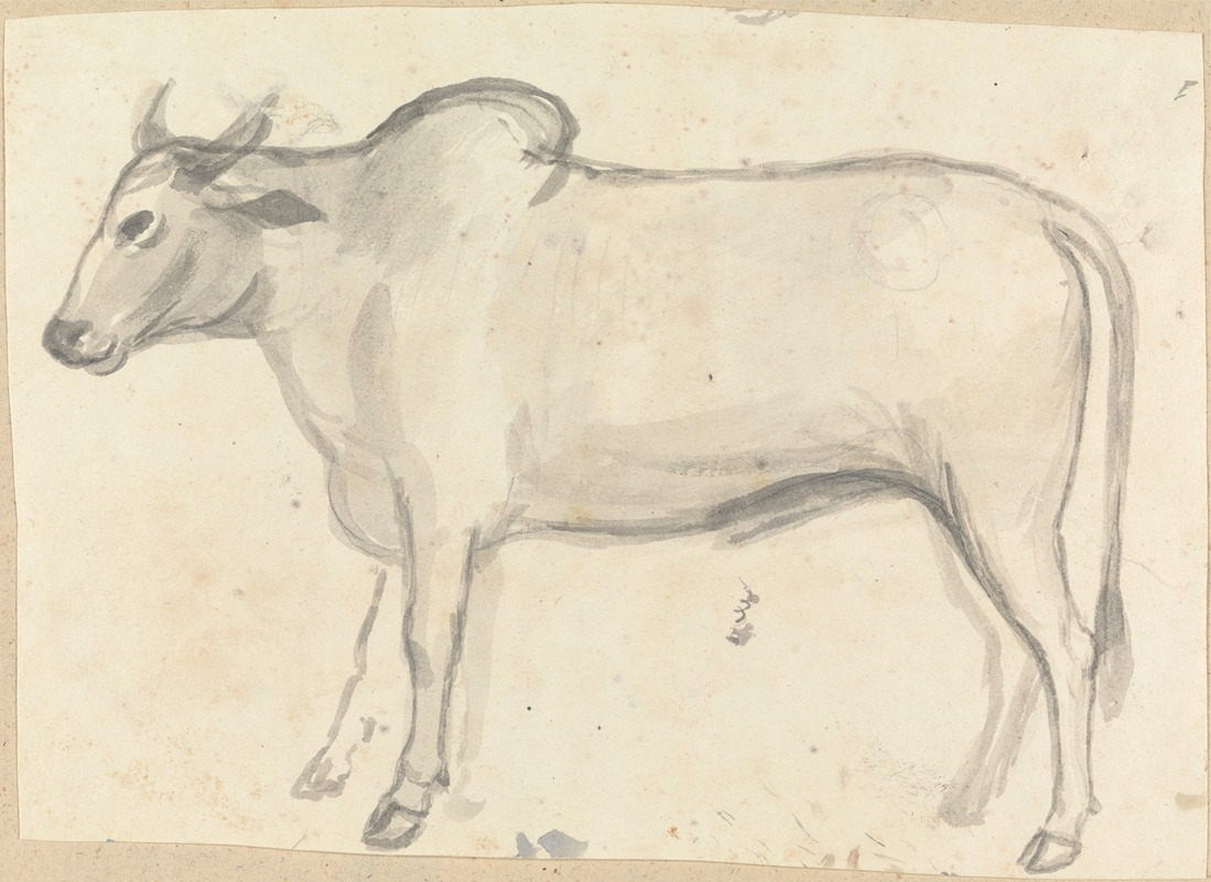 An Ox by Гангарама Чинтаман Тамбат — digital art print download