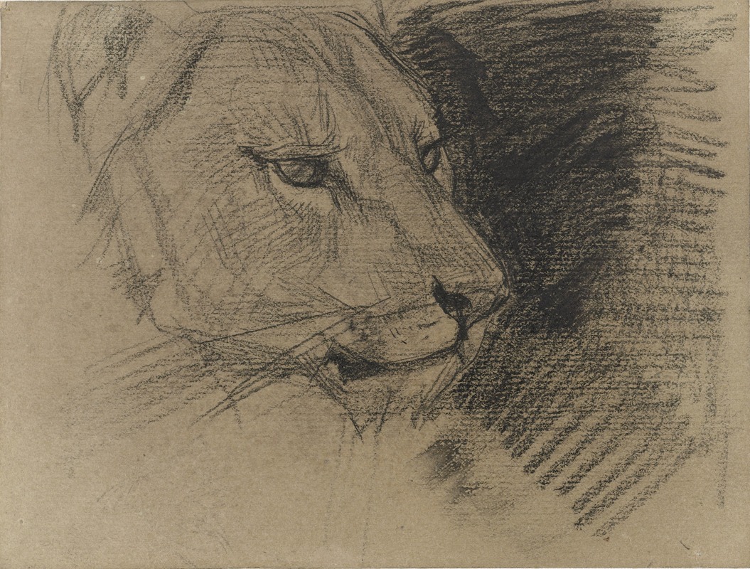 Kop van een leeuw by Огюст Аллебе, 1848 - 1884 — digital art print download