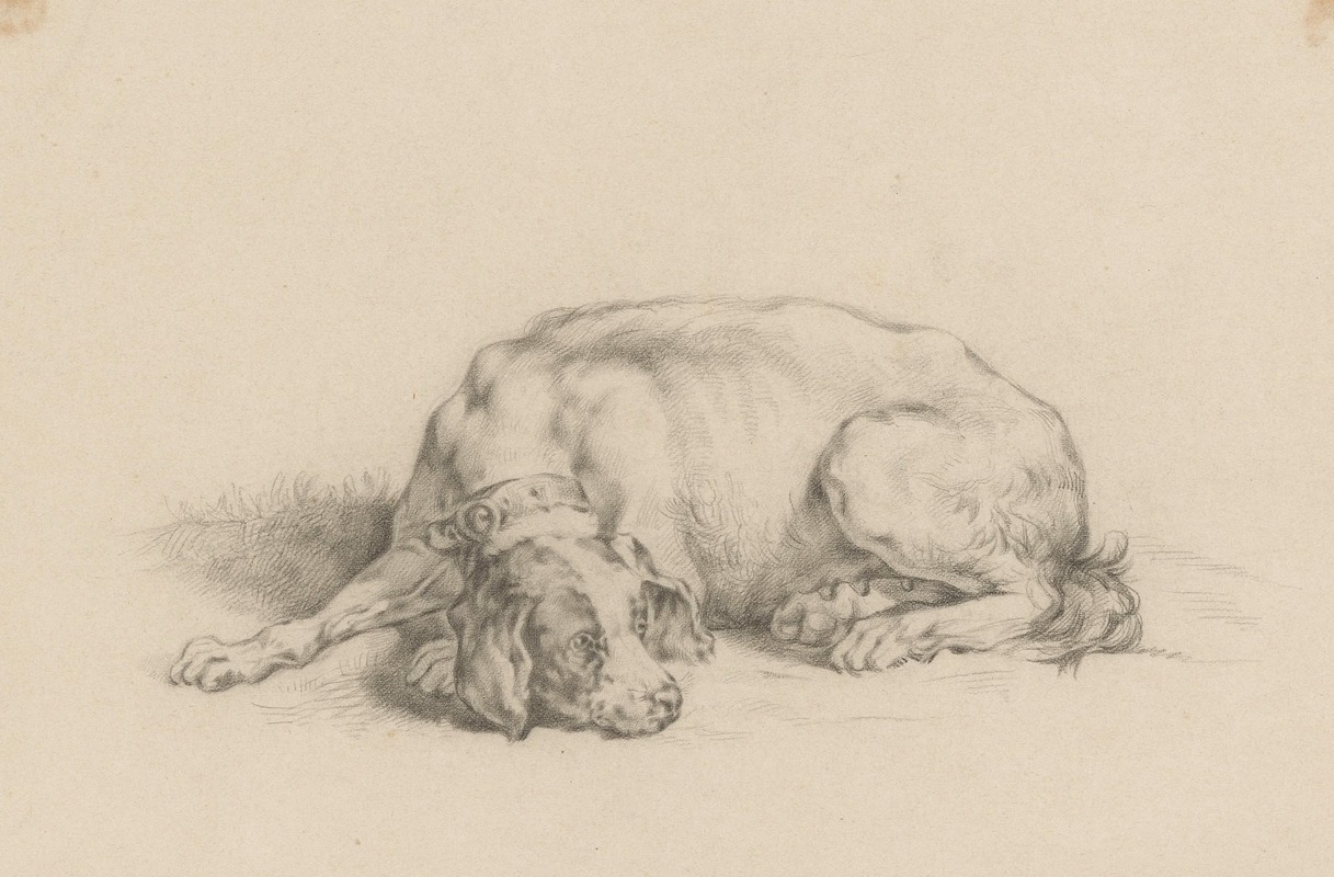 Liggende hond by Огюст Аллебе, 1851 — digital art print download