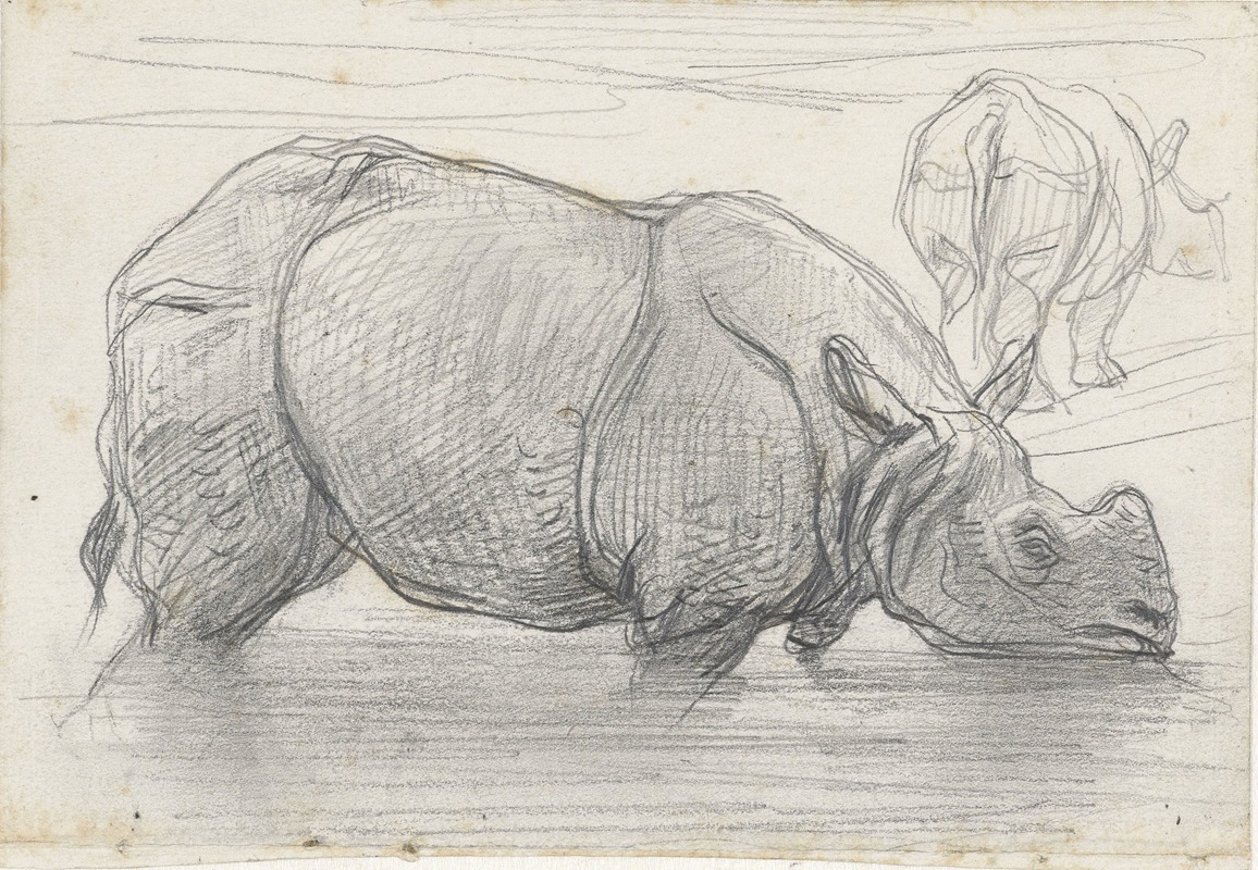 Neushoorn in het water by Огюст Аллебе, 1848 - 1927 — digital art print download