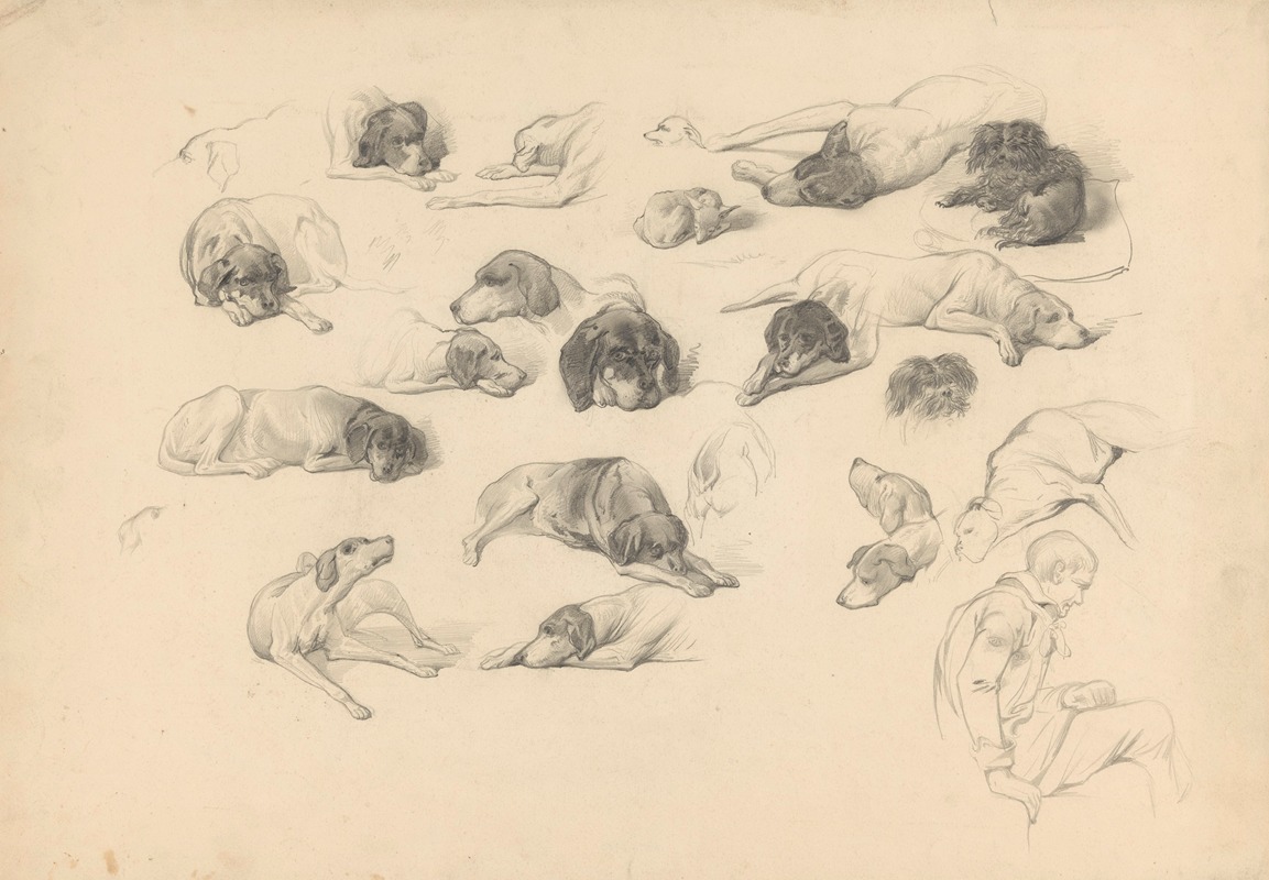 Schetsblad met diverse hondenstudies by Огюст Аллебе, 1848 - 1927 — digital art print download