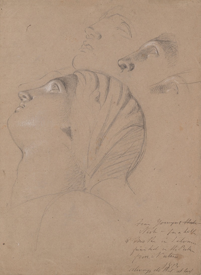 Female Head Study (Study for the Judgment of Solomon) by Бенджамин Роберт Хейдон, 1813 — digital art print download