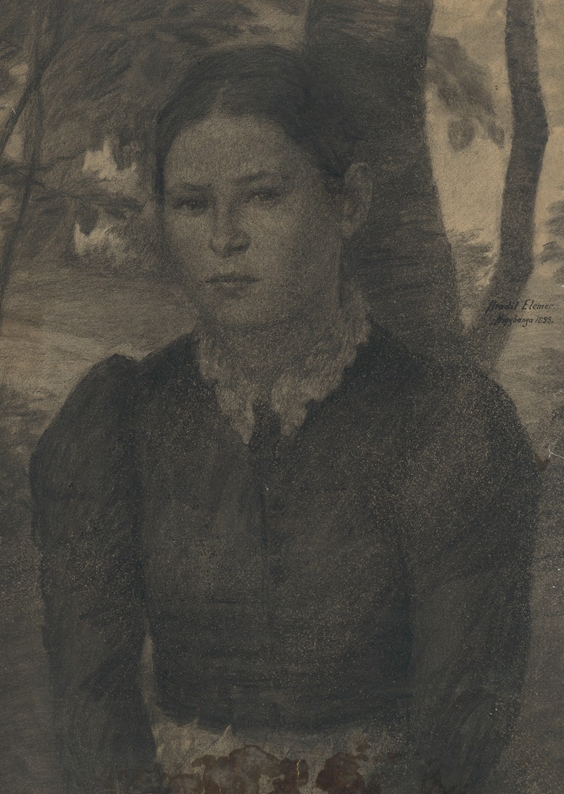 Podobizeň mladej ženy by Elemír Halász-Hradil, 1898 — digital art print download