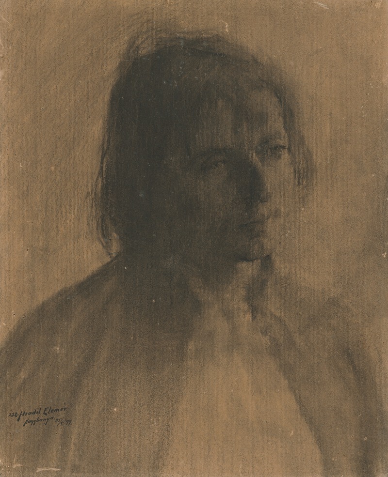 Štúdia hlavy cigánky by Элемир Халяш-Градила, 1899 — digital art print download