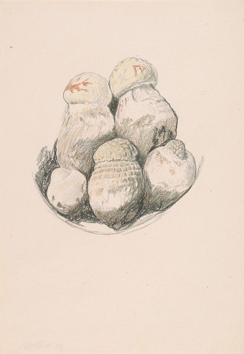 Plate of Mushrooms — Элиху Веддер