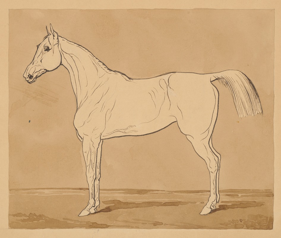 Study of a Horse II. by Фридрих Карл фон Шейдлин — digital art print download