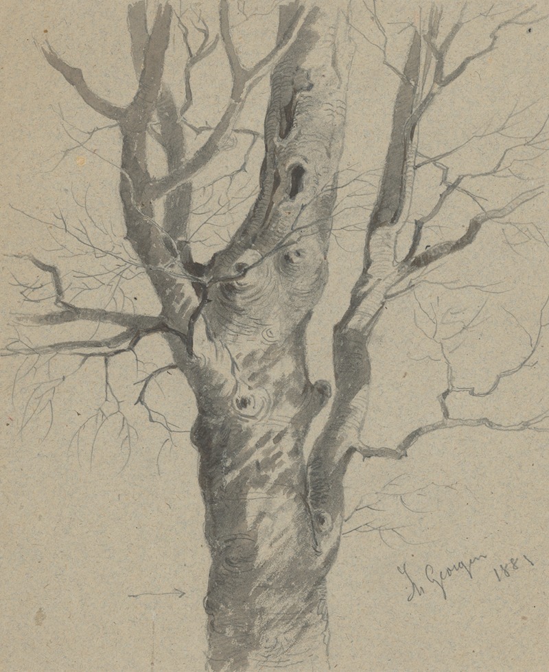 Study of a Knotted Tree Trunk by Фридрих Карл фон Шейдлин — digital art print download