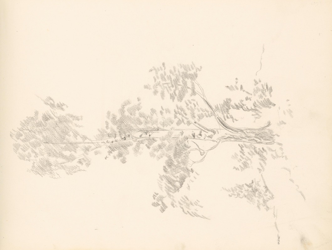 Breza by Ян Новак, 1936–1938 — digital art print download