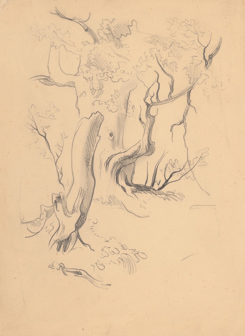 Štúdia stromov by Ян Новак, 1940–1944 — digital art print download