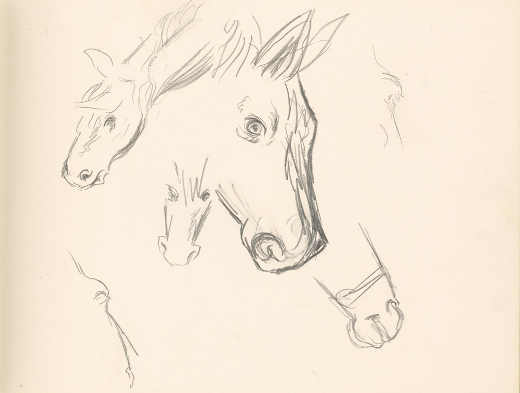 Štúdie pasúcich sa koní by Ян Новак, 1936–1938 — digital art print download