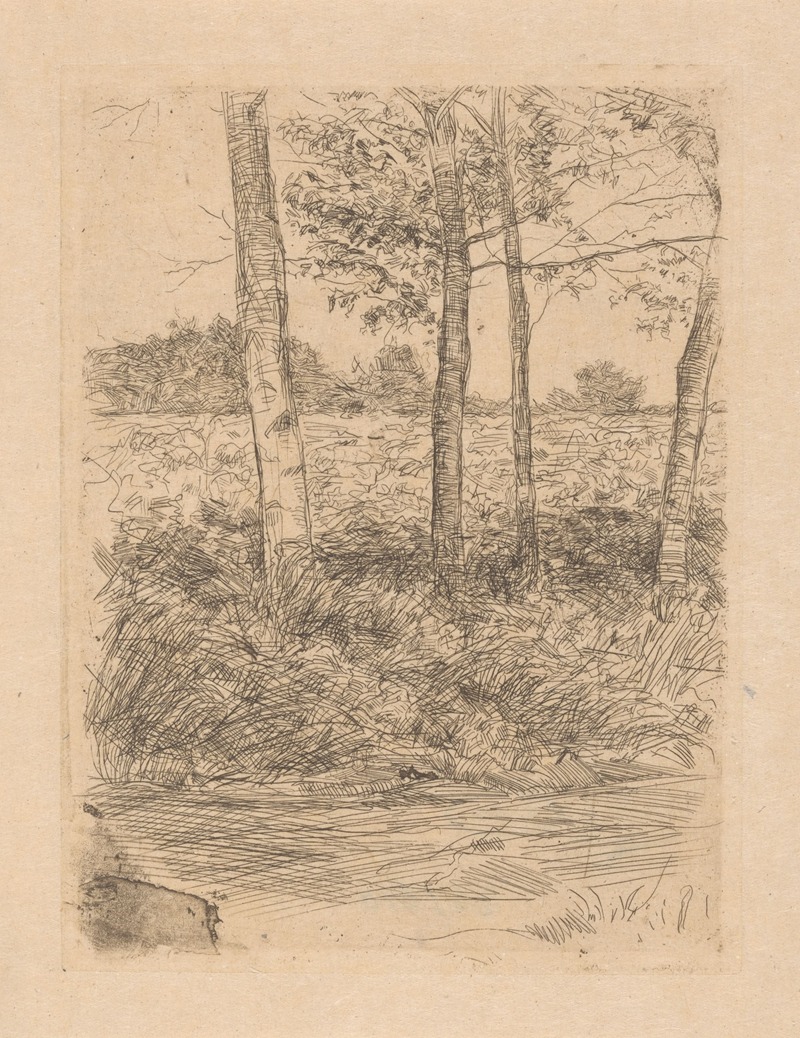 Landweg met bomen, Bussum by Ян Вет, 1886 — digital art print download