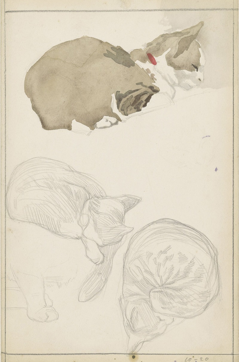 Liggende kat by Jan Veth, 1874 - 1925 — digital art print download