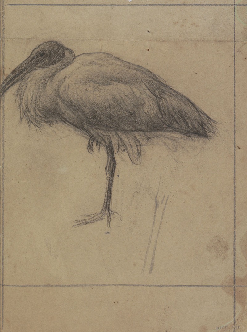 Opgezette ibis by Ян Вет, 1874 - 1925 — digital art print download