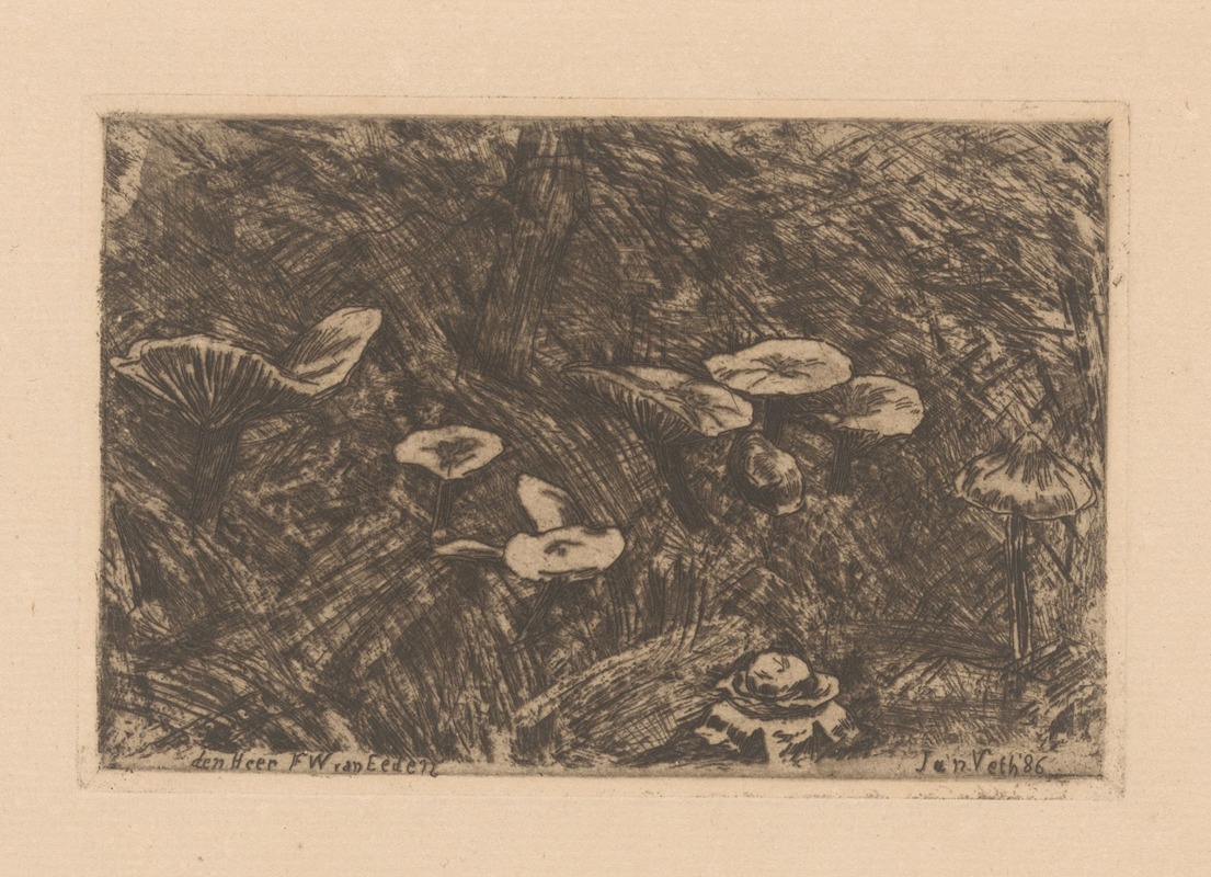 Paddenstoelen by Jan Veth, 1886 — digital art print download