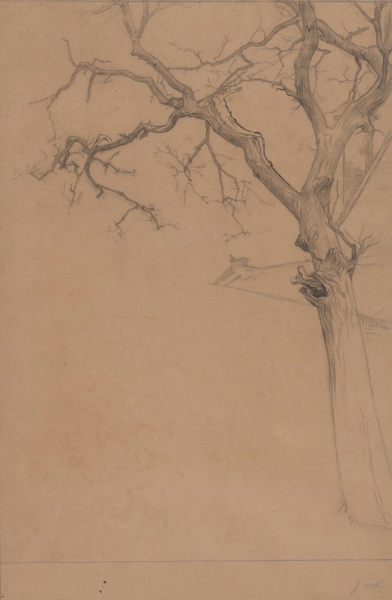 Studie van een kale boom by Ян Вет, 1874 - 1925 — digital art print download