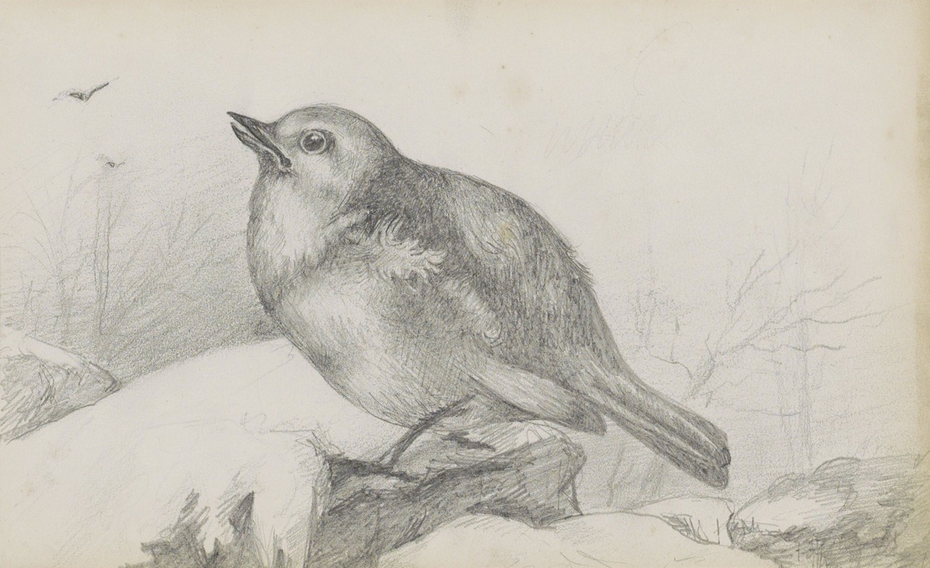 Jonge vogel op een steen by Мариус Бауэр, 1880 — digital art print download