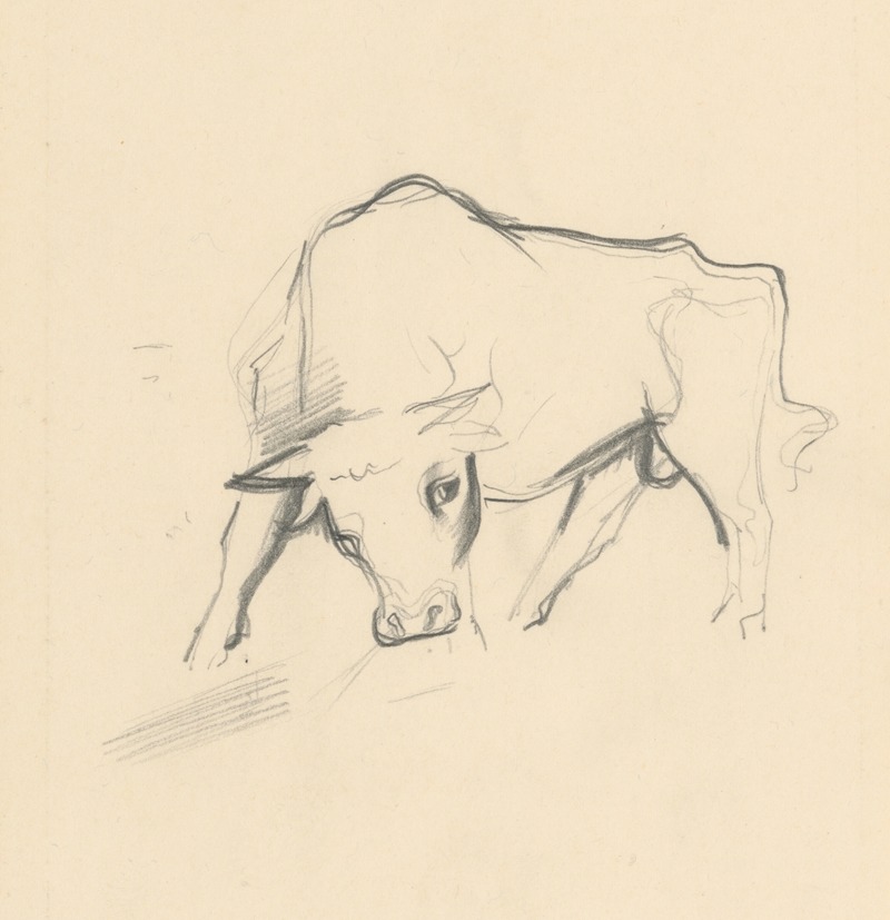 Young Bull by Микулаш Галанда, 1936 — digital art print download