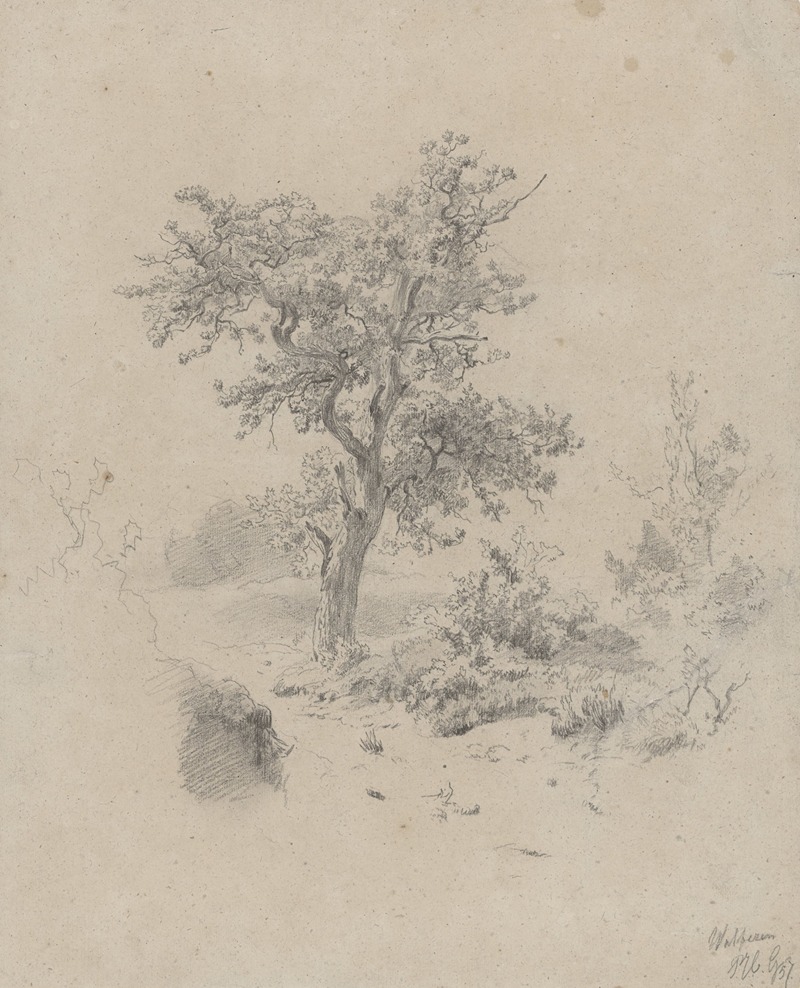 Landschap met eik by Поль Жозеф Константин Габриэль, 1857 — digital art print download