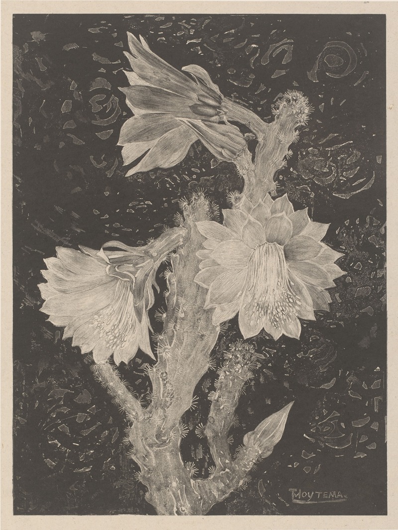 Bloeiende cactus by Тео ван Хойтема, 1878 - 1905 — digital art print download