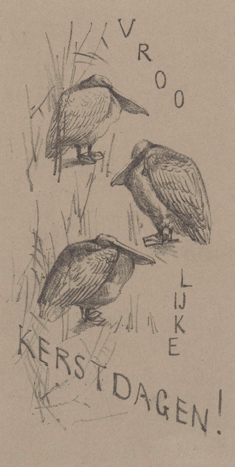 Kerstkaart met drie pelikanen — Theo van Hoytema
