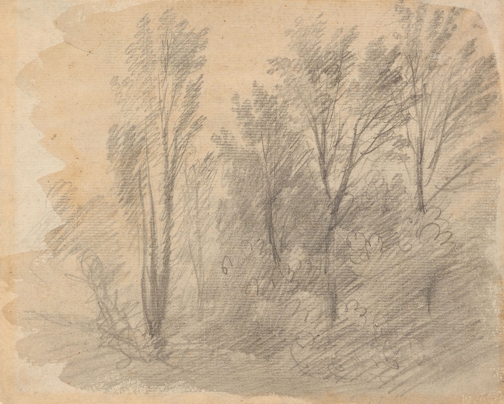 Study of Trees by Томас Гейнсборо, 1750 — digital art print download