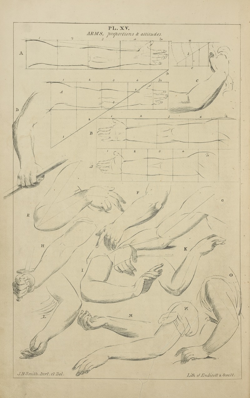 Arms – proportions and attitudes — John Rubens Smith