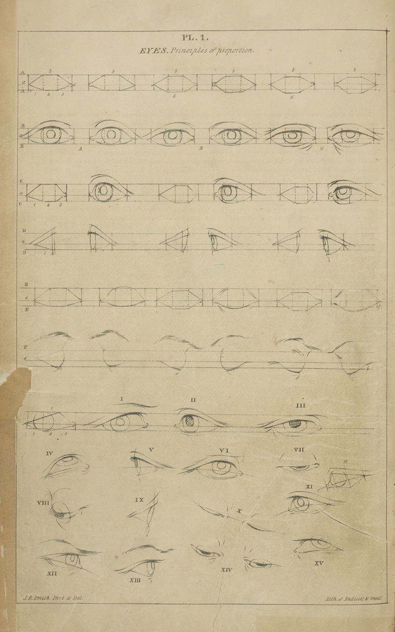 Eyes – principles of proportion by Джон Рубенс Смит, 1831 — digital art print download