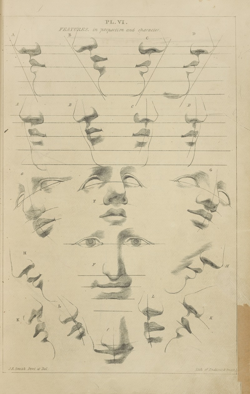 Features – proportions and character by Джон Рубенс Смит, 1831 — digital art print download