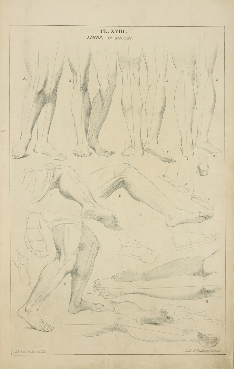 Limbs – in attitude by John Rubens Smith, 1831 — digital art print download
