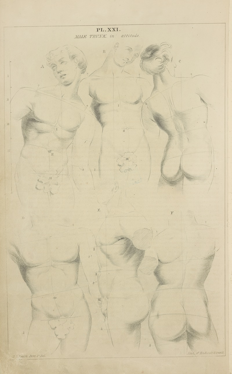 Male trunk – in attitude by Джон Рубенс Смит, 1831 — digital art print download