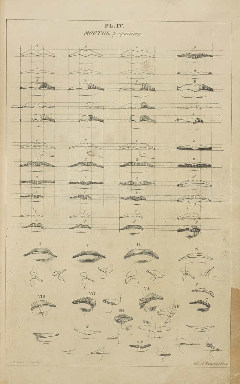 Mouths – proportions by Джон Рубенс Смит, 1831 — digital art print download