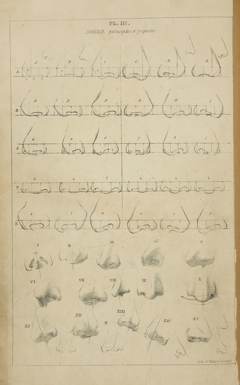 Noses – principle of proportion by Джон Рубенс Смит, 1831 — digital art print download