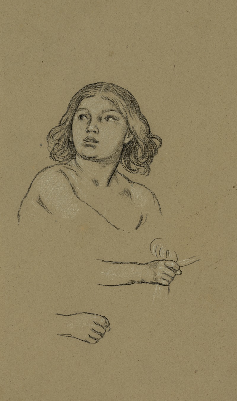 Boy with long hair facing slightly left by Элиху Веддер, 1892 — digital art print download