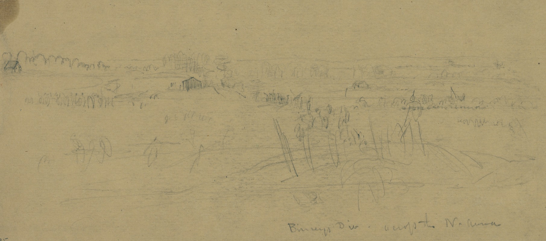 Birney's Div. across the N. Anna — Alfred Rudolph Waud