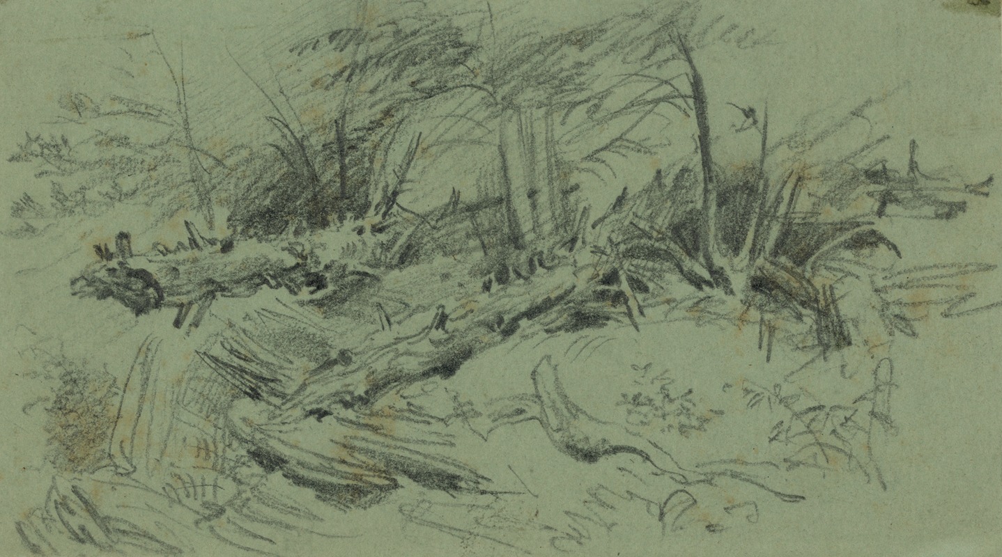 Landscape with fallen trees and rocks by Альфред Рудольф Уод, 1860-1865 — digital art print download