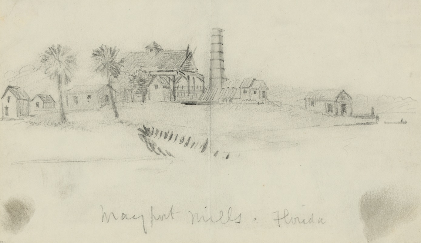 Mayport Mills, Florida by Альфред Рудольф Уод, 1860-1865 — digital art print download