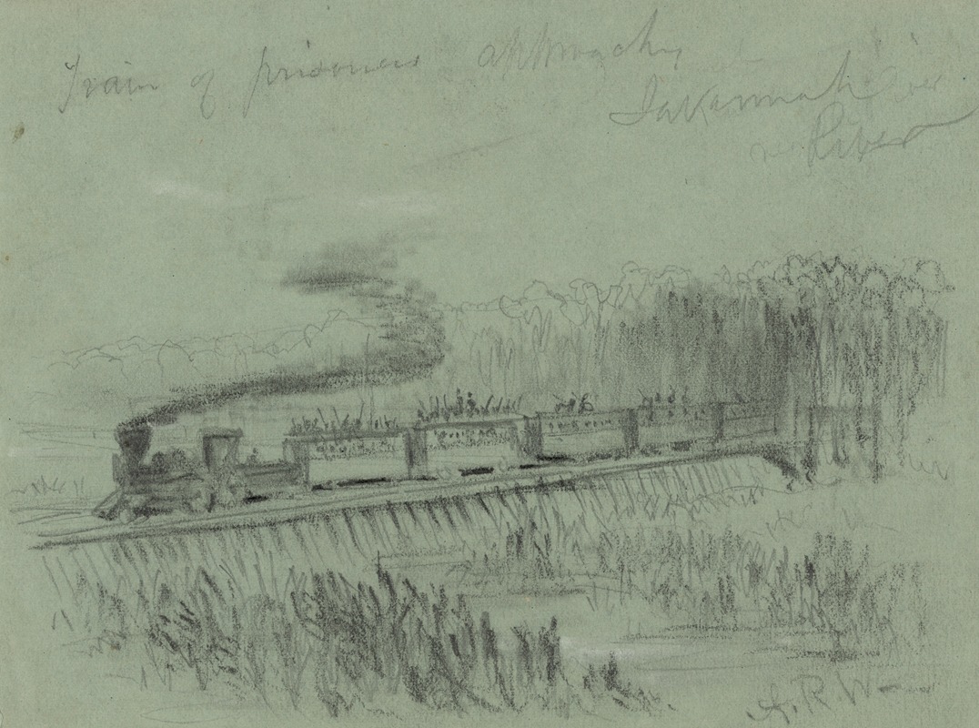 Train of prisoners approaches Savannah River — Alfred Rudolph Waud